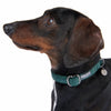 Nomad Tales Blush Collar - Emerald || Nomad Tales || view 3