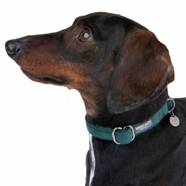 Nomad Tales Blush Collar - Emerald || Nomad Tales || view 3