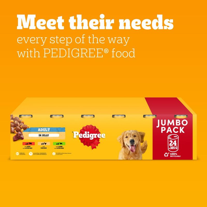 Pedigree Adult Multipack in Jelly Wet Dog Food || Pedigree || view 7