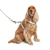Nomad Tales Blush Dog Leash, taupe || Nomad Tales || view 8