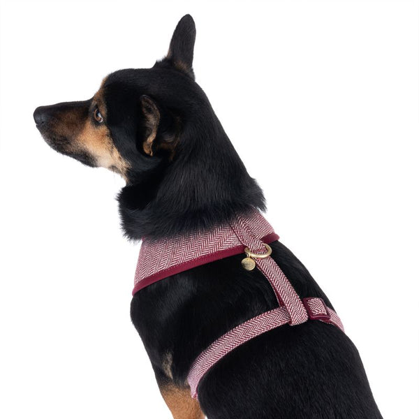 Nomad Tales Calma Harness - Burgundy || Nomad Tales || view 5