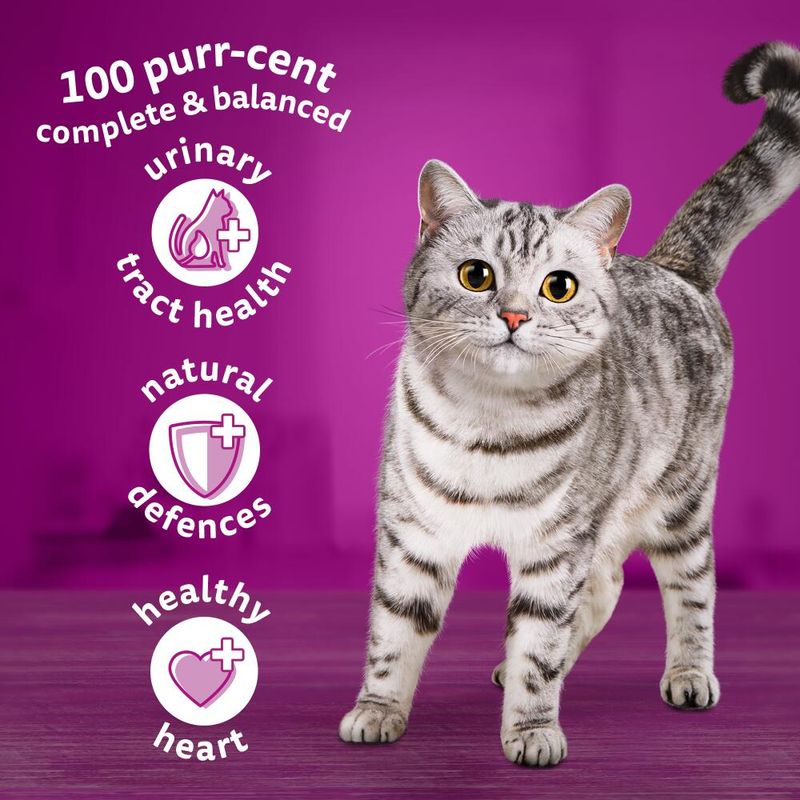 Whiskas Senior 7+ Chicken || undefined || view 11