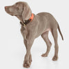 Nomad Tales Bloom Collar - Coral || Nomad Tales || view 5