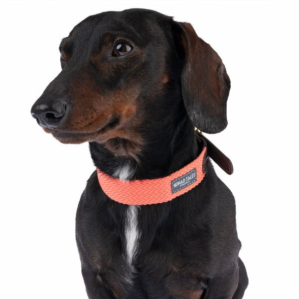 Nomad Tales Bloom Collar - Coral || Nomad Tales || view 4