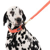 Nomad Tales Bloom Collar - Coral || Nomad Tales || view 22