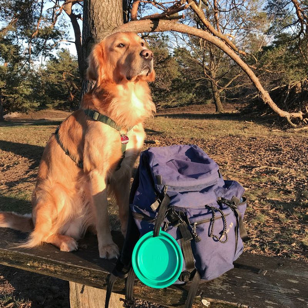 TIAKI Silicone Travel Bowl, turquoise || TIAKI || view 11