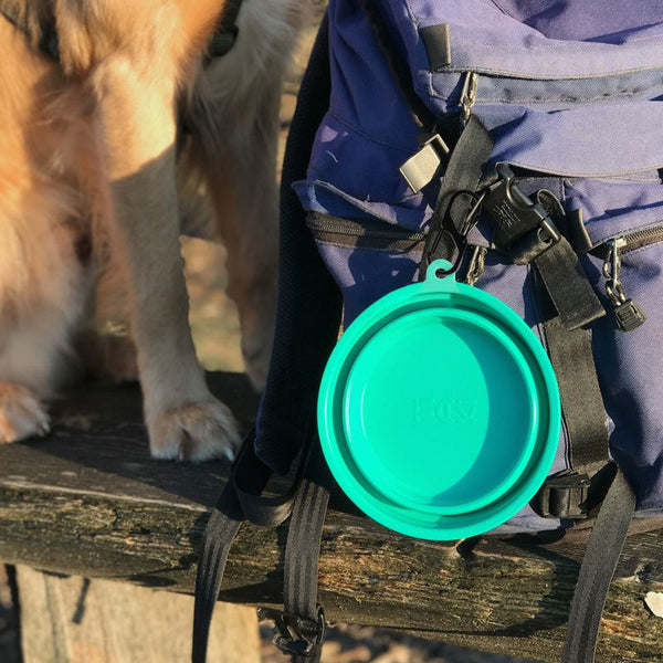 TIAKI Silicone Travel Bowl, turquoise || TIAKI || view 12