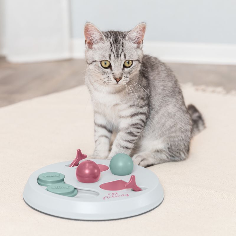 Grey cat next to an interactive toy with coloured elements and the inscription 'Cat Activity'.