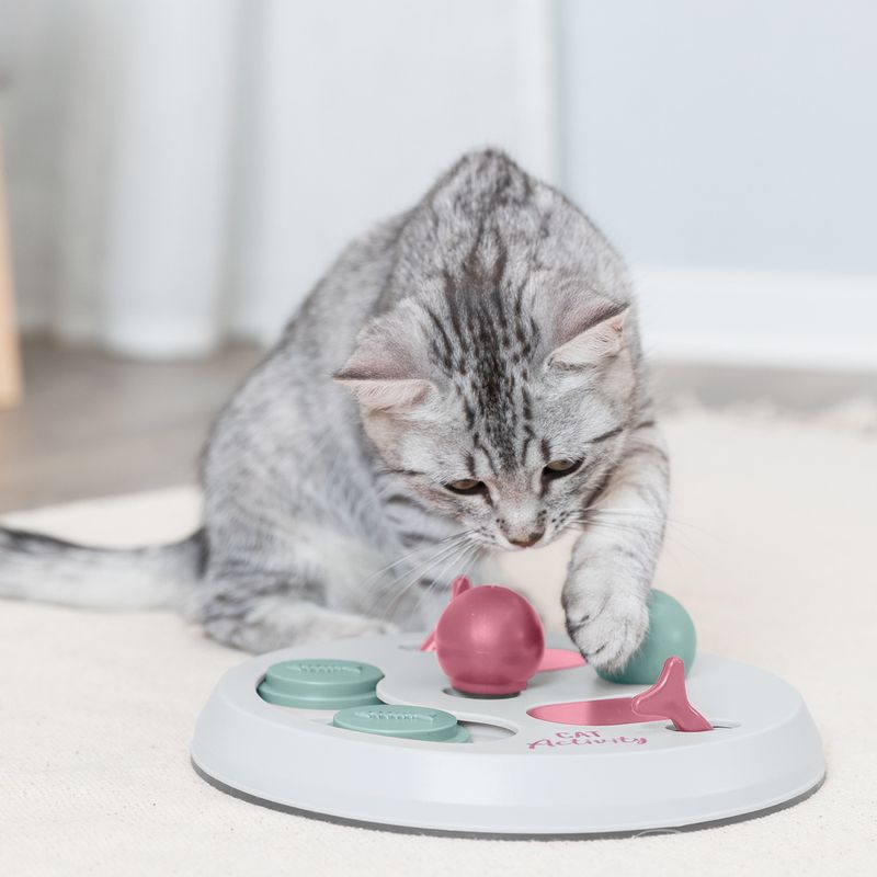 Grey cat playing with a white intelligence toy featuring pink and green elements. The toy is labelled 'Cat Activity'.