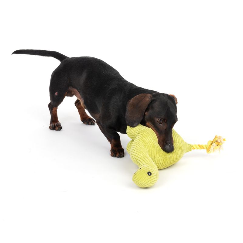 Dog playing with green fabric toy shaped like an animal with rope and button eyes.