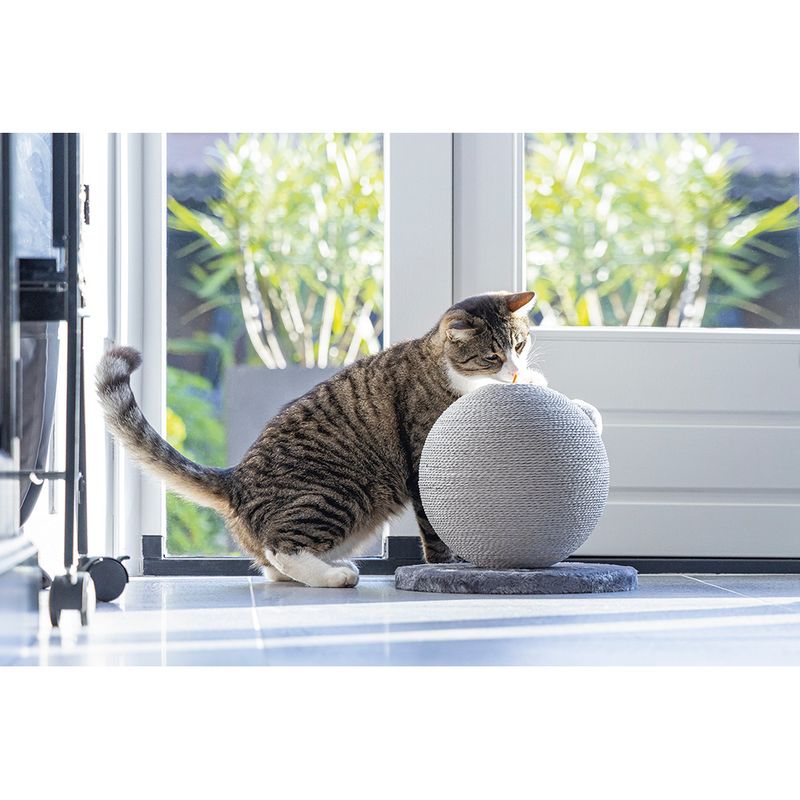 Cat playing with a grey scratching ball on a base, placed in front of a glass door.