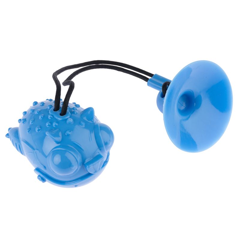 Blue plastic toy with suction cup and elastic band, connected to a textured animal-shaped ball.