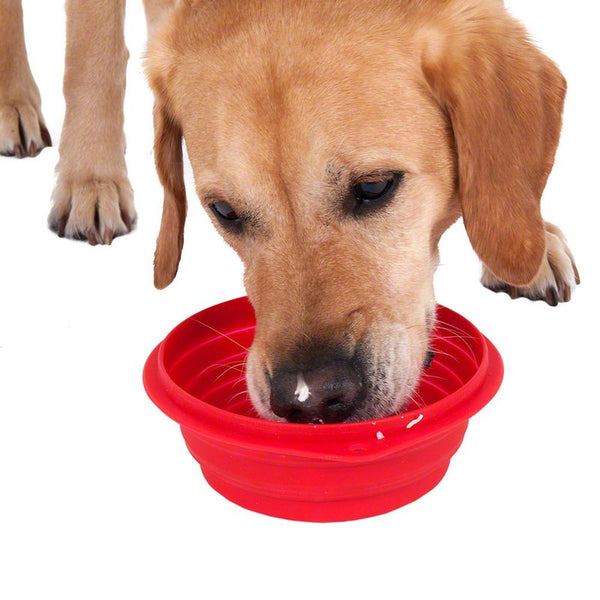 Silicone Travel Bowl || zooplus Exclusive || view 9