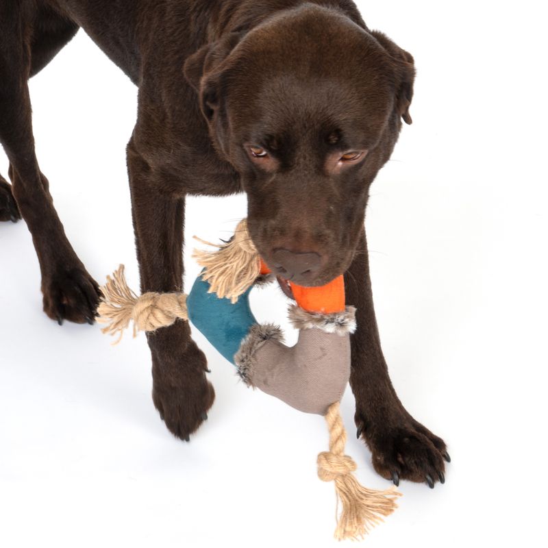 Dog playing with colourful chew toy made of fabric and rope, featuring orange, blue and grey elements with fringes.