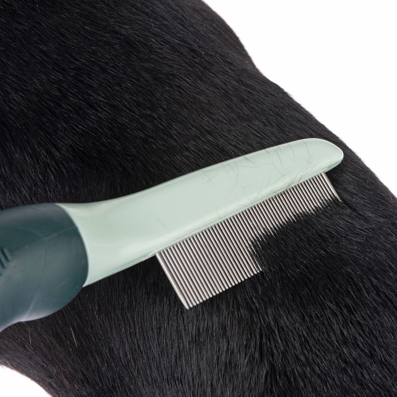 Fine-toothed comb with green handle gliding through black fur, removing loose hair.