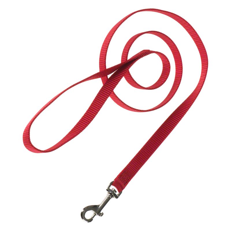 Red nylon dog lead with metal snap hook, suitable for walks and training.