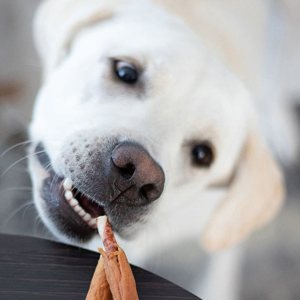 8in1 Triple Flavour Ribs Chew Sticks || 8in1 || view 3