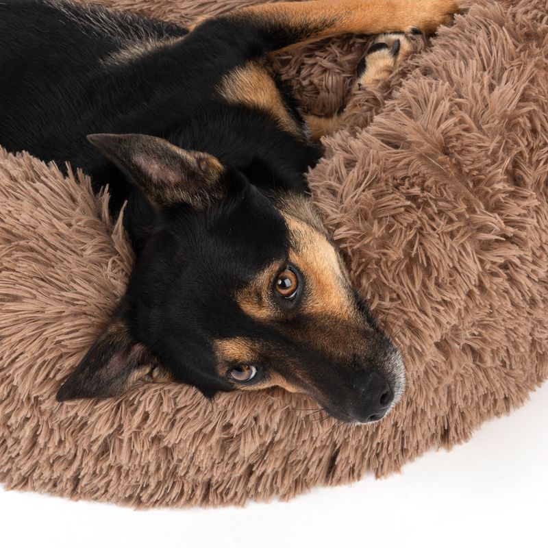 Dog lying in a fluffy, brown pet bed.