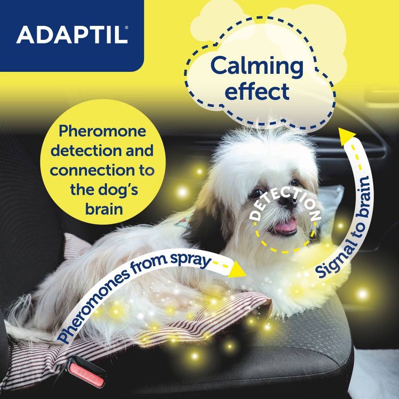 ADAPTIL® Transport Spray || Adaptil || view 4