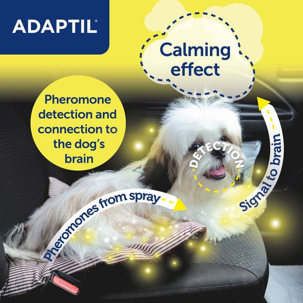 ADAPTIL® Transport Spray || Adaptil || view 4