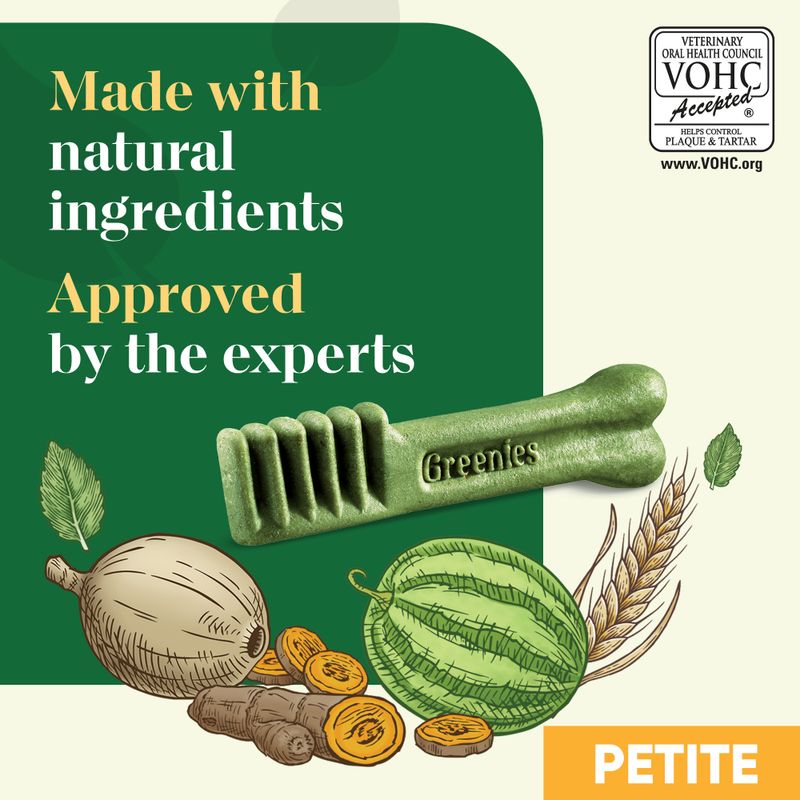 Greenies Canine Dental Chews || Greenies || view 44