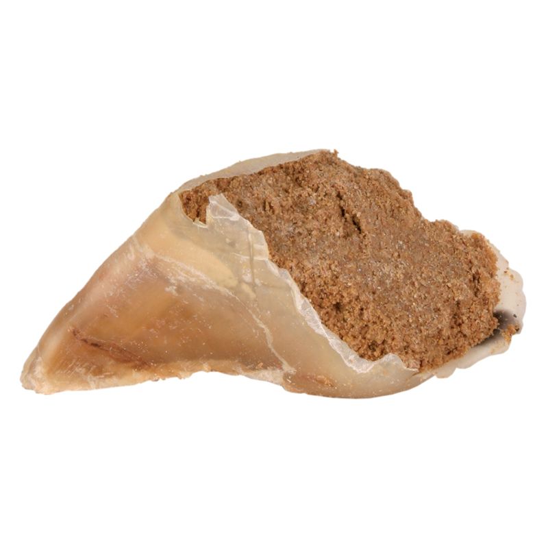 Filled cattle horn with brown filling, suitable as a chew snack for dogs.