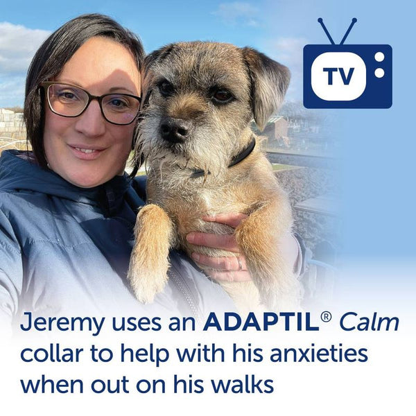 ADAPTIL® Calm Collar || Adaptil || view 11