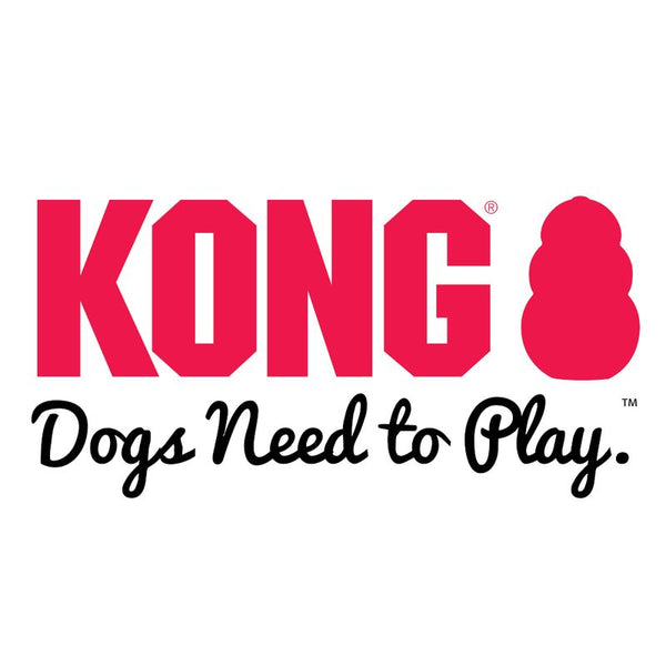 KONG AirDog American Football with Squeaker || KONG || view 2