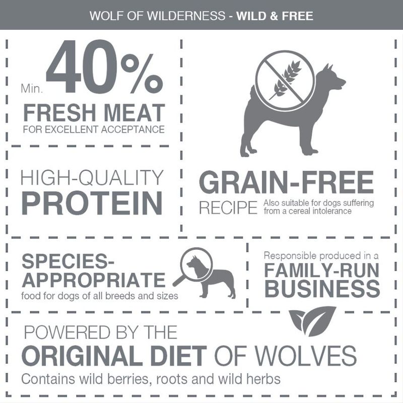 Wolf of Wilderness Senior "Green Fields" Lamb - Grain-Free || Wolf of Wilderness || view 2