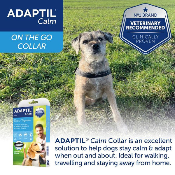 ADAPTIL® Calm Collar || Adaptil || view 2