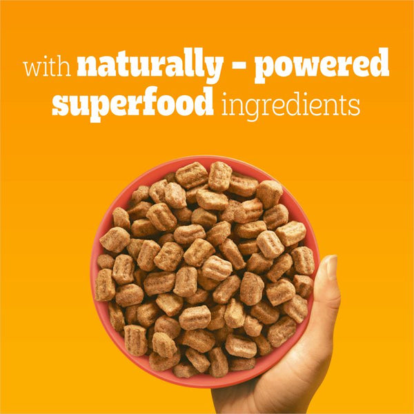 Pedigree Adult Complete with Beef & Vegetables || Pedigree || view 3