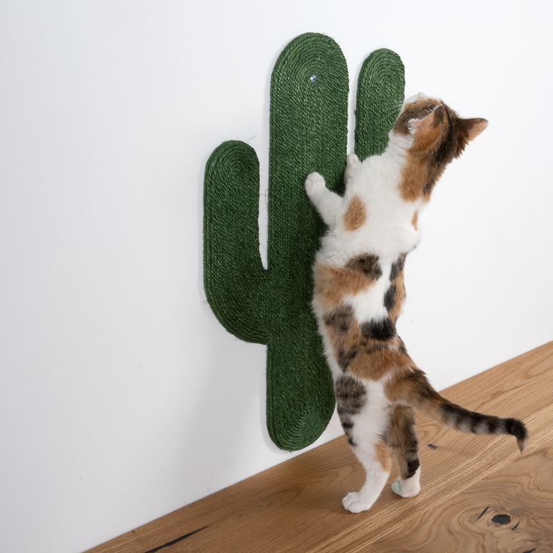 Cat scratching board in cactus shape, green, wall-mounted. Cat scratching it.