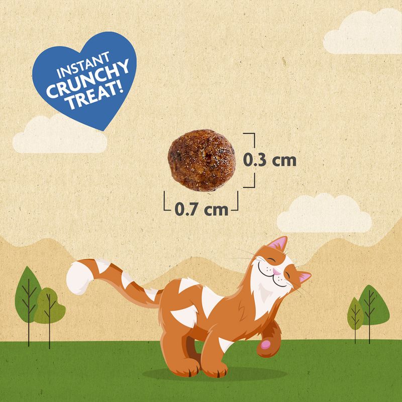 Crunchy treat with dimensions 0.7 cm by 0.3 cm shown, labelled as instant crunchy treat.
