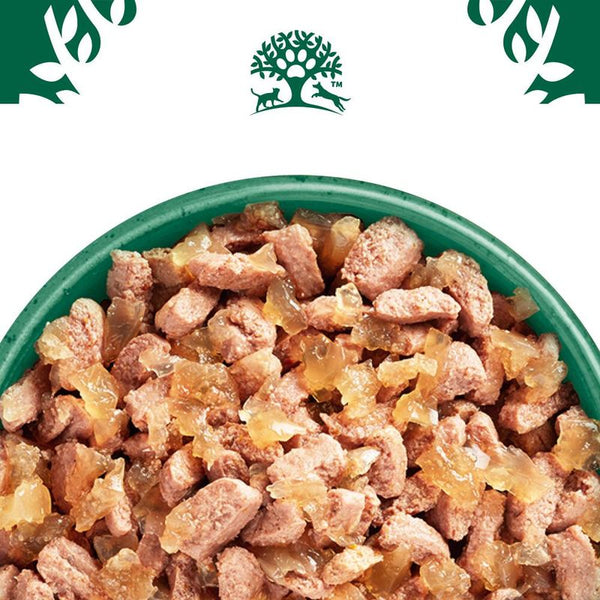 James Wellbeloved Adult Cat Hypoallergenic Pouches - Chicken in Jelly || James Wellbeloved || view 4