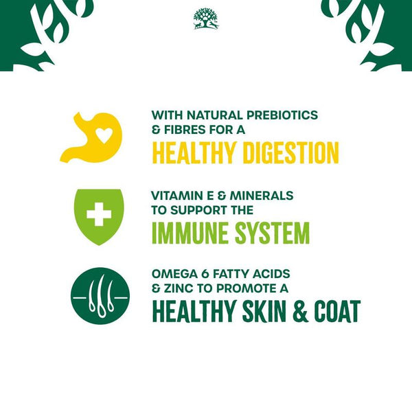 James Wellbeloved Adult Cat Hypoallergenic Pouches - Chicken in Jelly || James Wellbeloved || view 7