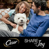 Cesar Pouches Deliciously Fresh Selection in Jelly Saver Packs || Cesar || view 7