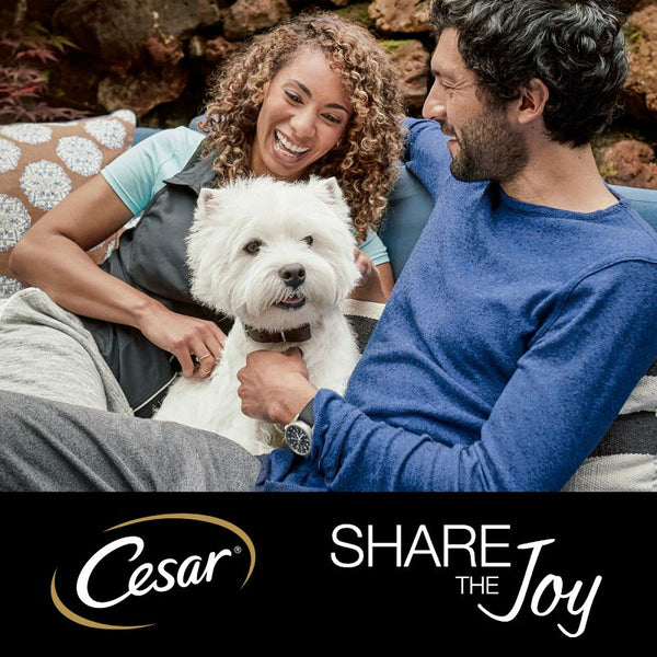 Cesar Pouches Deliciously Fresh Selection in Jelly Saver Packs || Cesar || view 7