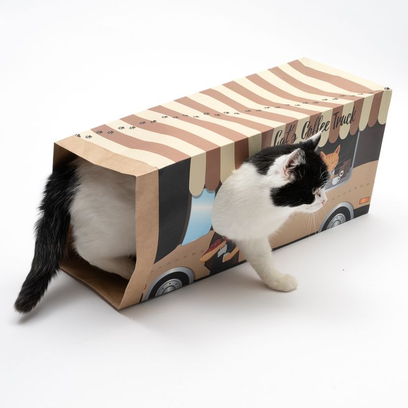 Paper packaging shaped like a cat coffee truck with a black and white cat looking out through a hole.