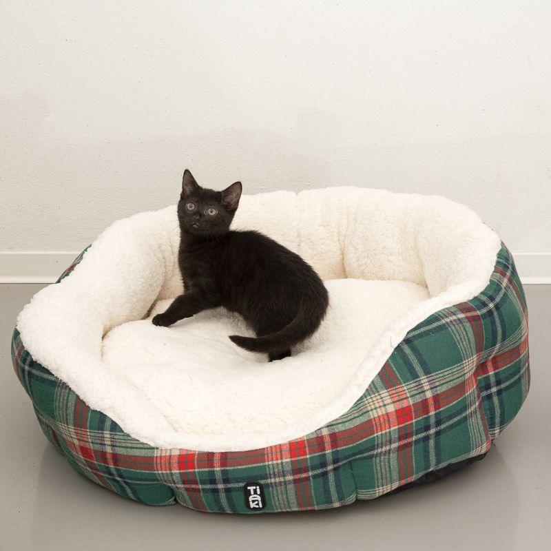 Cat bed with soft white inner lining and green-red check pattern on the outside. Black cat sitting in the bed.