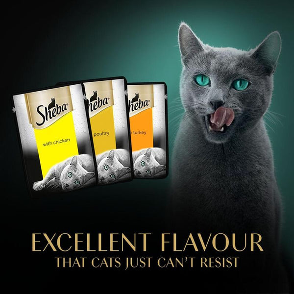 Sheba Fresh & Fine in Gravy Mini Pouches 50 x 50g || Sheba || view 11