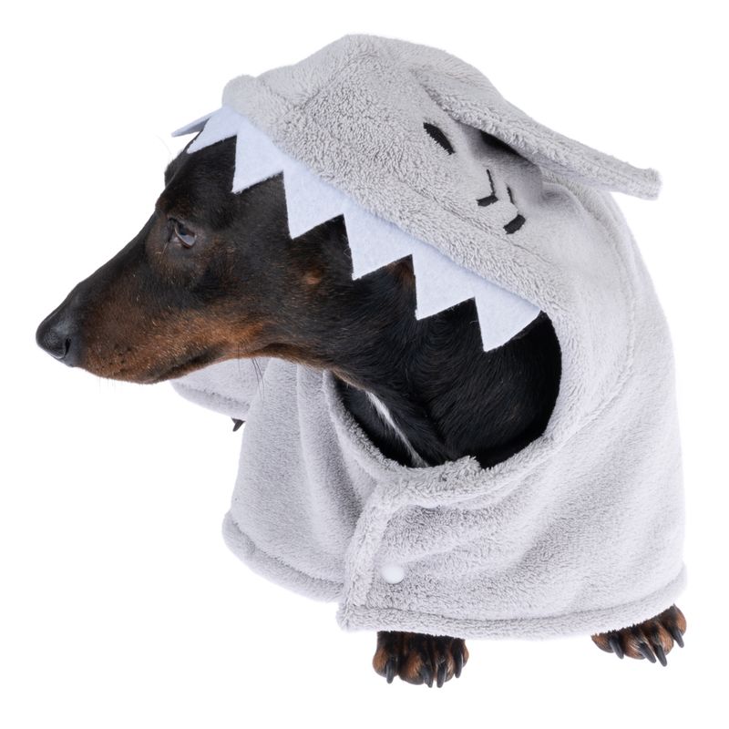 Dog wearing grey hooded coat with shark design, including teeth and fin.