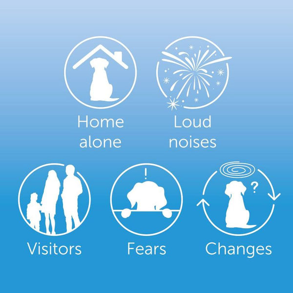 ADAPTIL® Calm Diffuser || Adaptil || view 13