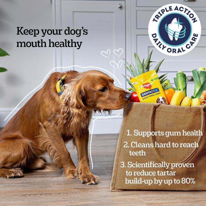 Pedigree Dentastix - Daily Oral Care for Large Dogs (>25kg) || Pedigree || view 7