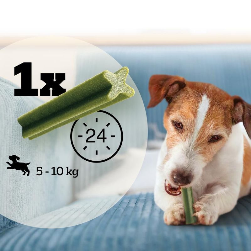 Pedigree Dentastix Fresh - Daily Oral Care for Small Dogs (5-10kg) || Pedigree || view 6