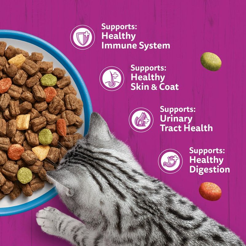 Cat food in a bowl, next to it text: Supports Healthy Immune System, Healthy Skin & Coat, Urinary Tract Health, Healthy Digestion. Cat eating from the bowl.