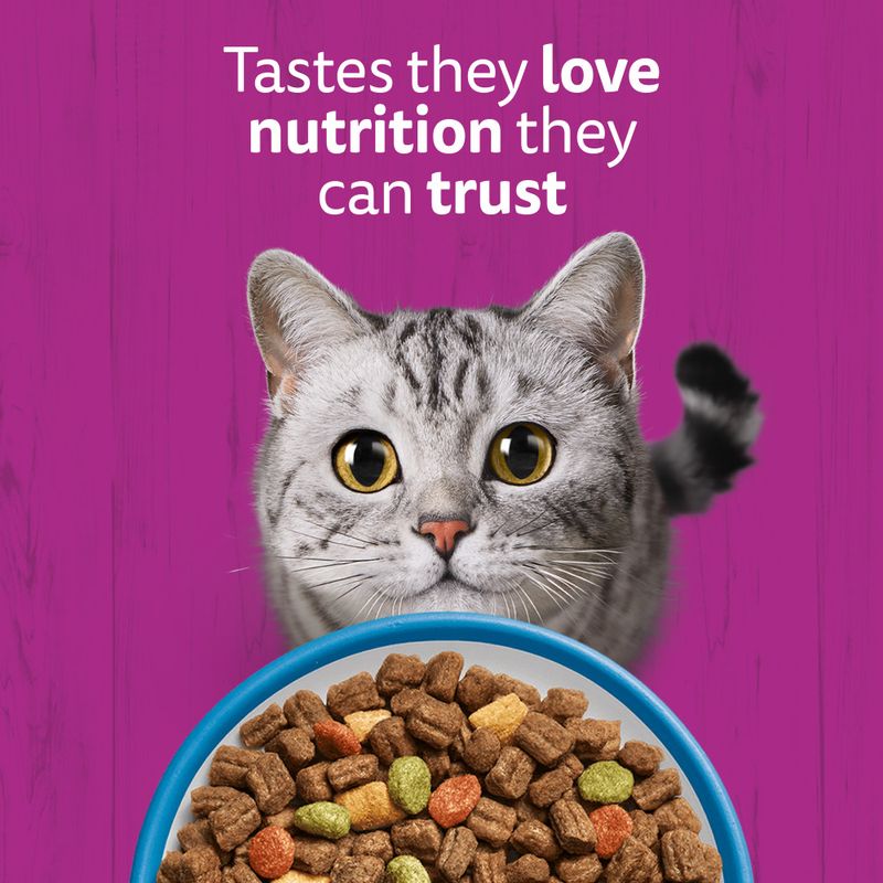 Text in the image: Tastes they love, nutrition they can trust. Pictured are a grey cat and a bowl with dry food.