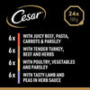 Cesar Classic Terrine Mixed Pack || Cesar || view 4