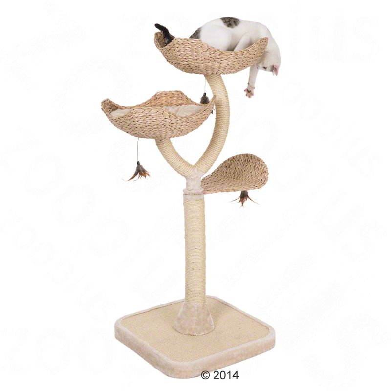 Cat tree made of woven natural material with three levels, sisal post and toy pendants. Cat lying on top level.