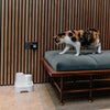 Cat Mate Drinking Fountain || undefined || view 2
