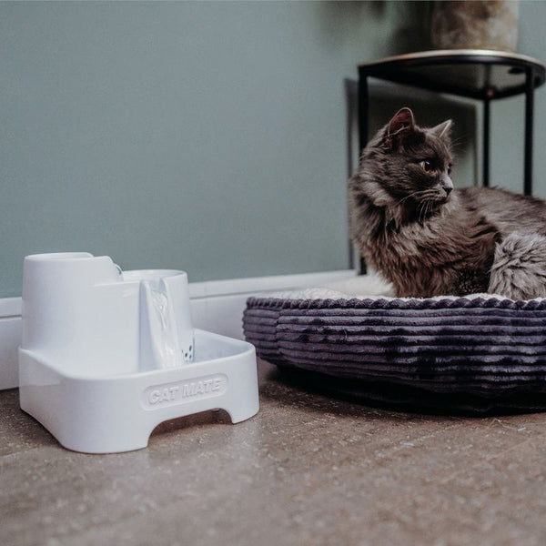 Cat Mate Drinking Fountain || undefined || view 4